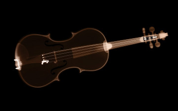 Картинка разное кости +рентген скрипка инструмент