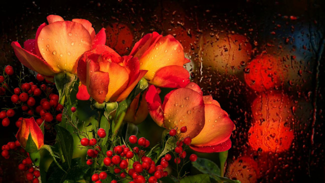 Обои картинки фото цветы, розы, букет