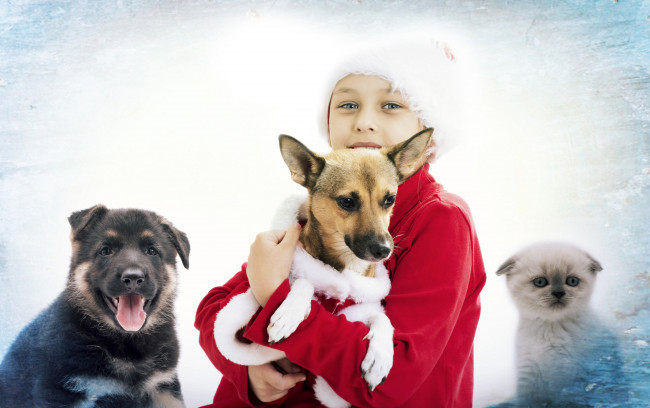 Обои картинки фото разное, дети, девочка, собаки, котенок