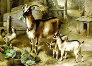 Картинка рисованное edgar+hunt сарай сено капуста козы курица