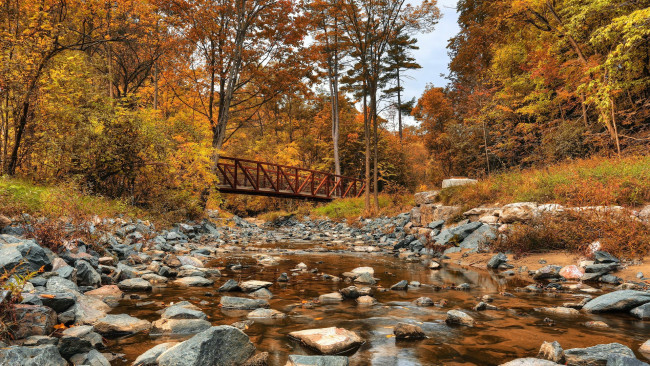 Обои картинки фото wilket creek park, toronto, ontario, города, - мосты, wilket, creek, park