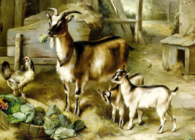 Обои картинки фото рисованное, edgar hunt, сарай, сено, капуста, козы, курица