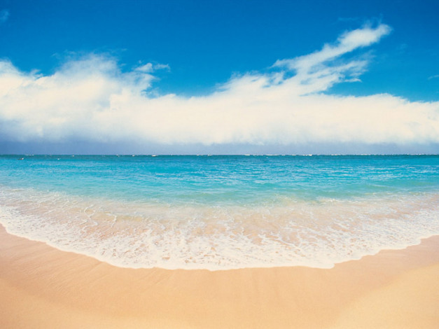 Обои картинки фото 