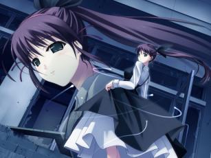 Картинка аниме silvery white