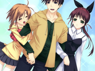 Картинка аниме silvery white