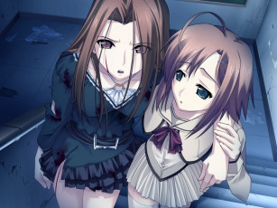 Картинка аниме silvery white