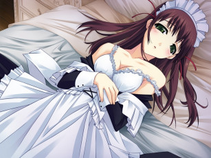 Картинка аниме silvery white