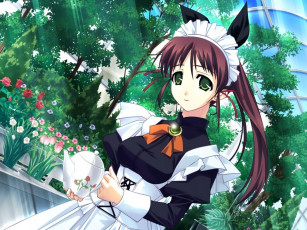 обоя аниме, silvery, white