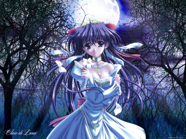 Обои картинки фото аниме, carnelian