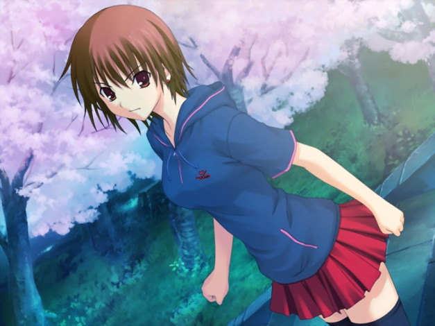 Обои картинки фото аниме, promising, to, the, blue, sky