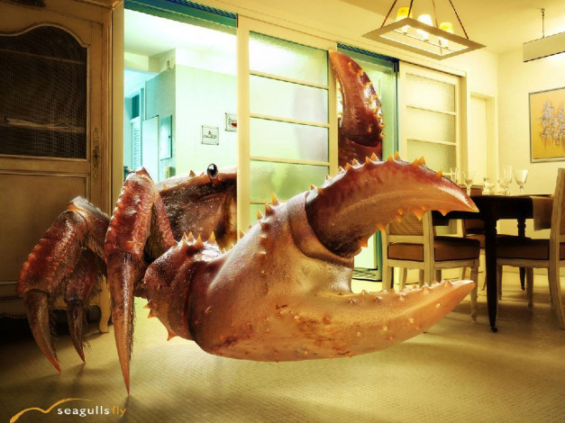 Обои картинки фото фэнтези, существа