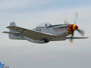 Картинка авиация лёгкие одномоторные самолёты