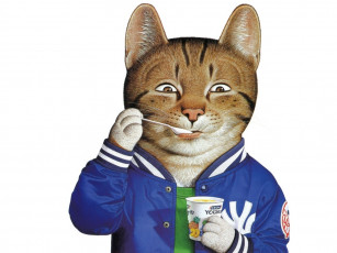 Картинка рисованные животные коты