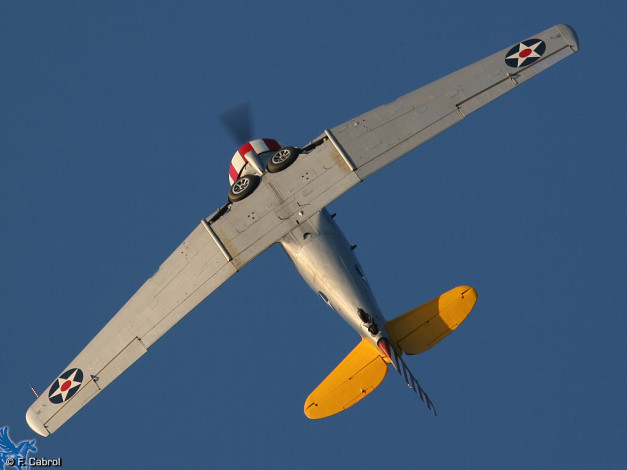 Обои картинки фото авиация, лёгкие, одномоторные, самолёты