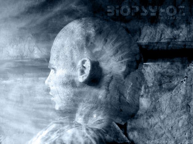 Обои картинки фото биопсихоз3, музыка, биопсихоз