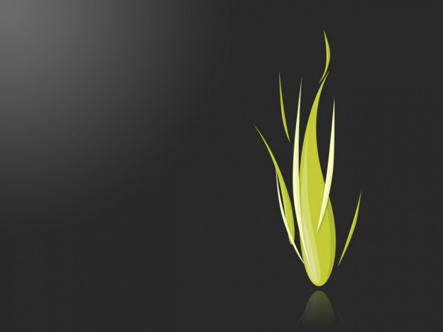 Обои картинки фото компьютеры, adobe