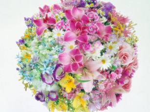 Картинка цветы разные вместе