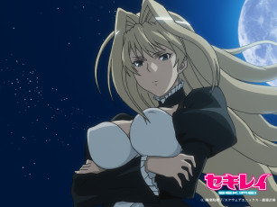 Картинка аниме sekirei