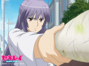 Картинка аниме sekirei