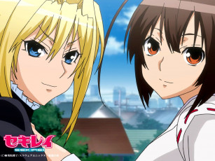 Картинка аниме sekirei