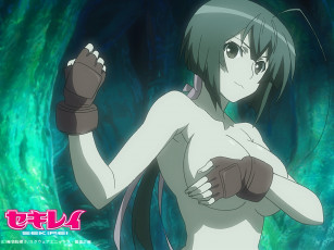 Картинка аниме sekirei