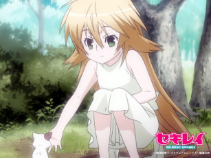 Картинка аниме sekirei