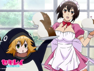 Картинка аниме sekirei