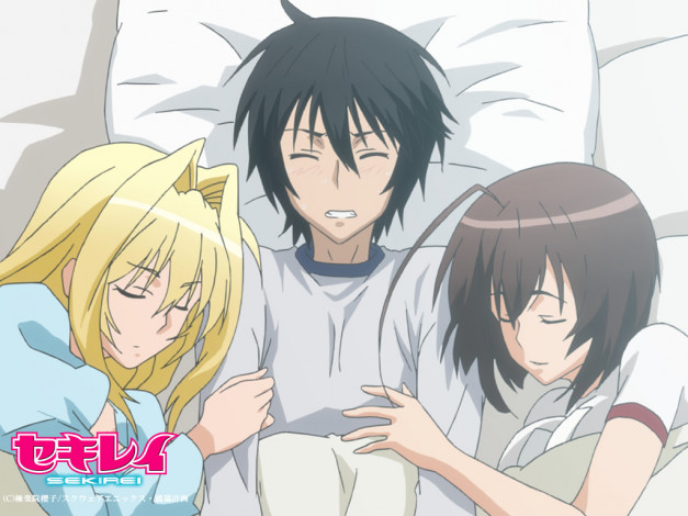 Обои картинки фото аниме, sekirei