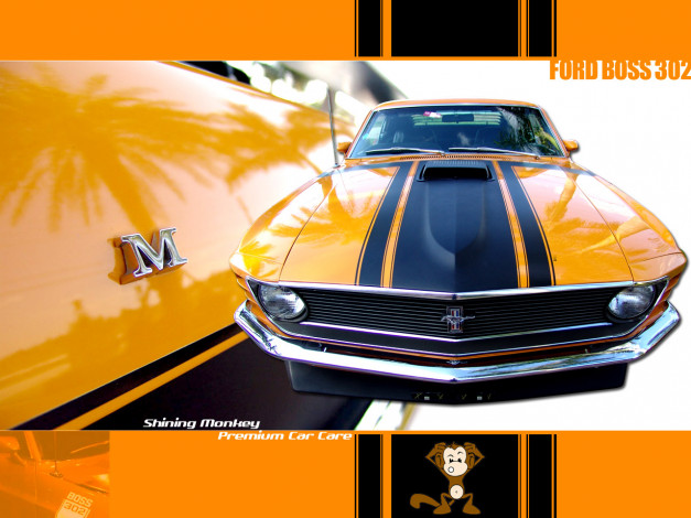 Обои картинки фото автомобили, mustang