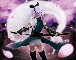 Картинка аниме touhou