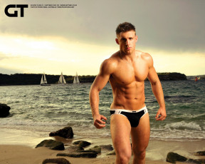 обоя gt, бренды