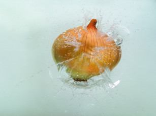 Картинка еда лук