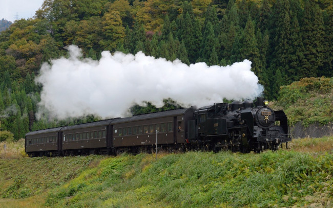 Обои картинки фото техника