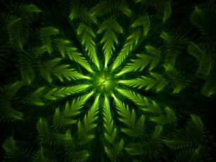 Картинка 3д графика fractal фракталы узор фон