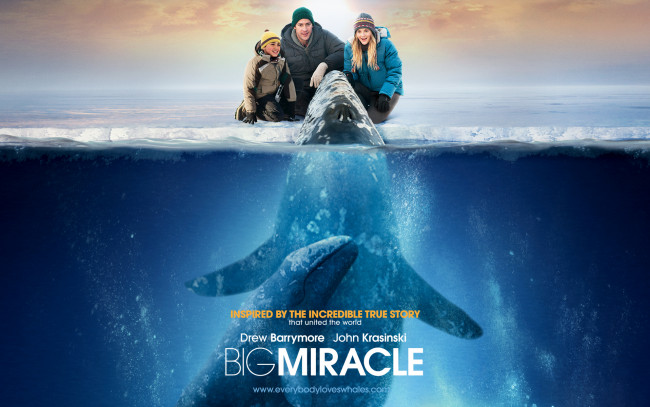 Обои картинки фото big, miracle, кино, фильмы