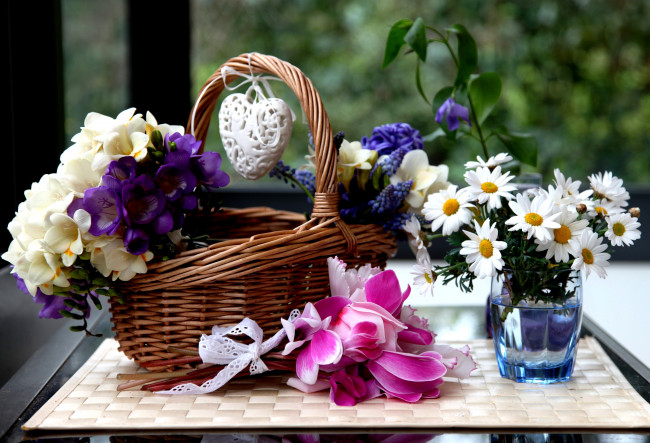 Обои картинки фото цветы, разные, вместе, цикламены, ромашки, гиацинты, фрезии, корзинка, сердечко