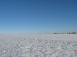 Картинка природа зима поле