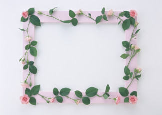 Картинка цветы розы листья цветки