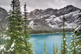 Картинка lake o`hara yoho national park canada природа реки озера канада озеро ели горы ohara
