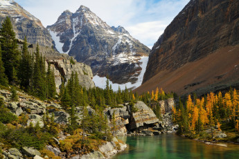 Картинка lake o`hara yoho national park canada природа горы озеро канада ohara