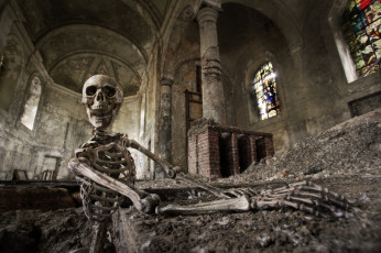 Картинка разное кости рентген церковь скелет