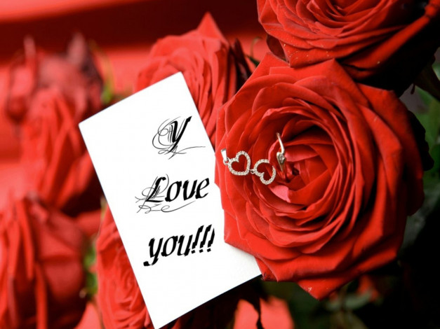 Обои картинки фото цветы, розы, записка, красный, признание