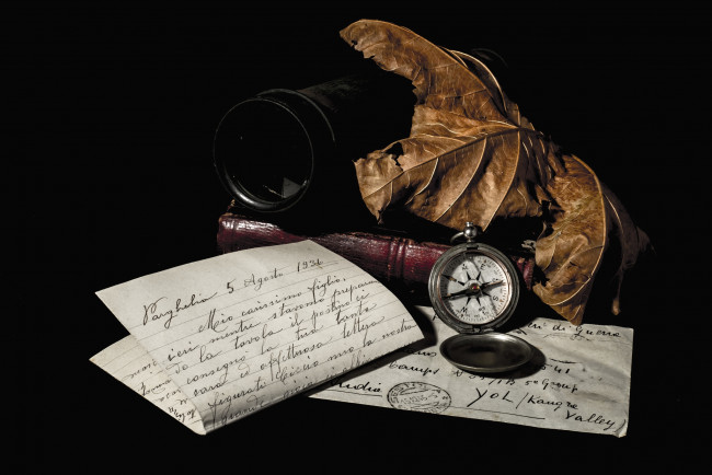 Обои картинки фото разное, канцелярия, книги, письма, книга, листья, компас