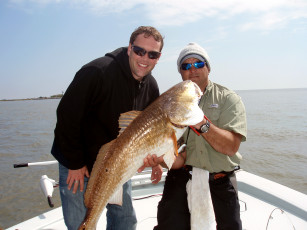 Картинка разное рыбалка +рыбаки +улов +снасти