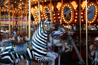 Картинка разное карусели +качели +аттракционы карусель лошади зебры краски