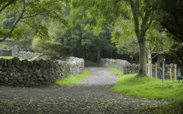 Картинка природа дороги дорога трава зелень деревья