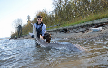 Картинка разное рыбалка +рыбаки +улов +снасти