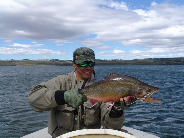 Обои картинки фото разное, рыбалка,  рыбаки,  улов,  снасти