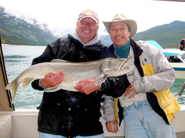 Обои картинки фото разное, рыбалка,  рыбаки,  улов,  снасти