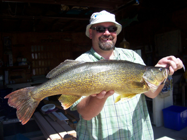 Обои картинки фото разное, рыбалка,  рыбаки,  улов,  снасти